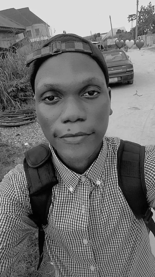 Tutor you on maths grade 1012